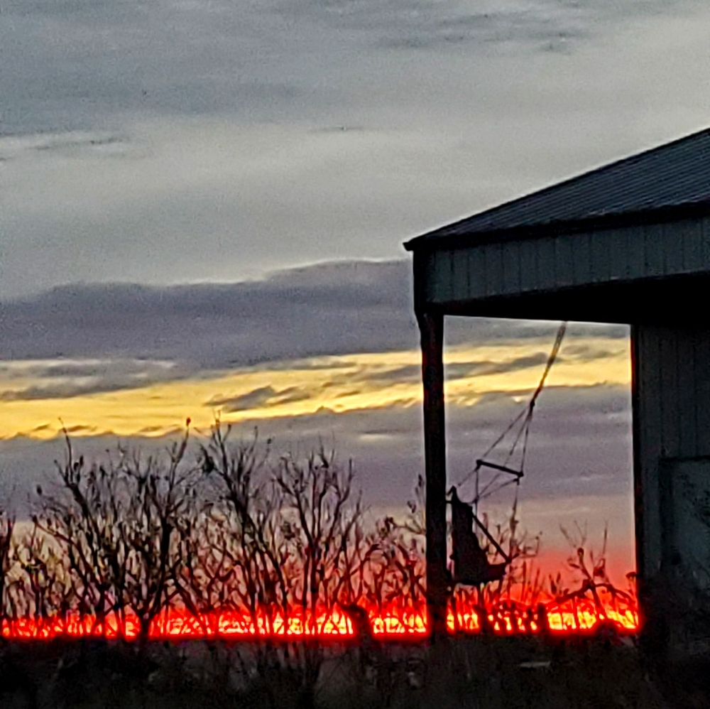 Meet your Posher, Audrey